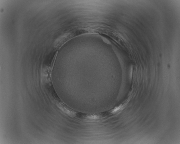 X0000068890237200605081327