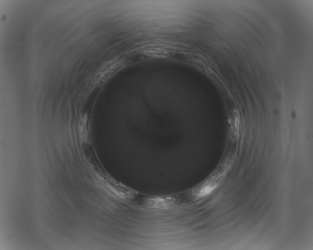 X0000068890239200605081327