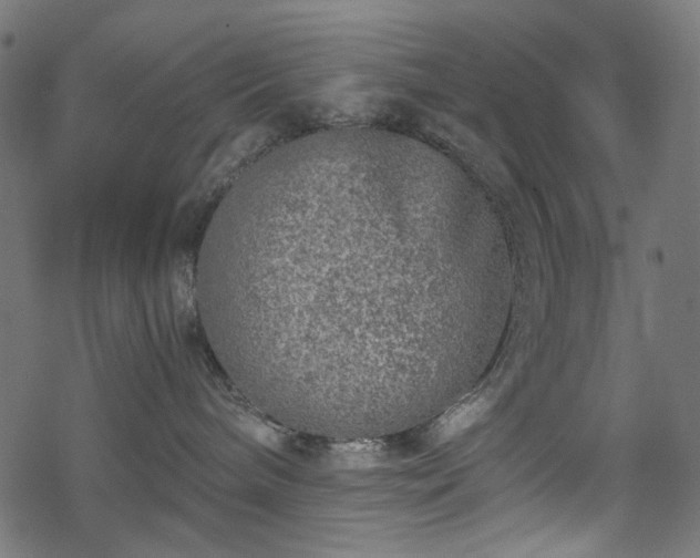 X0000068890240200605081327