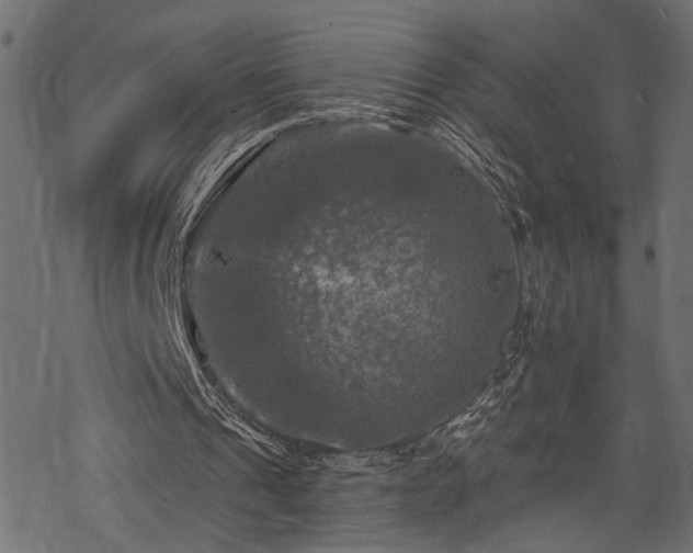 X0000068890241200605081327