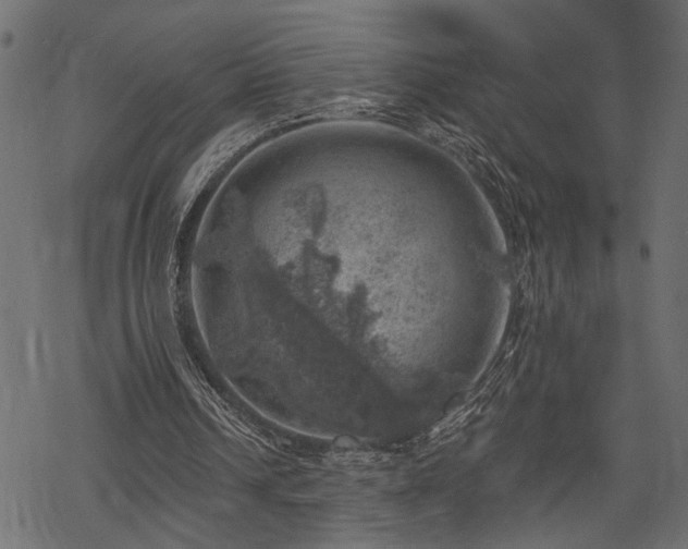 X0000068890242200605081327