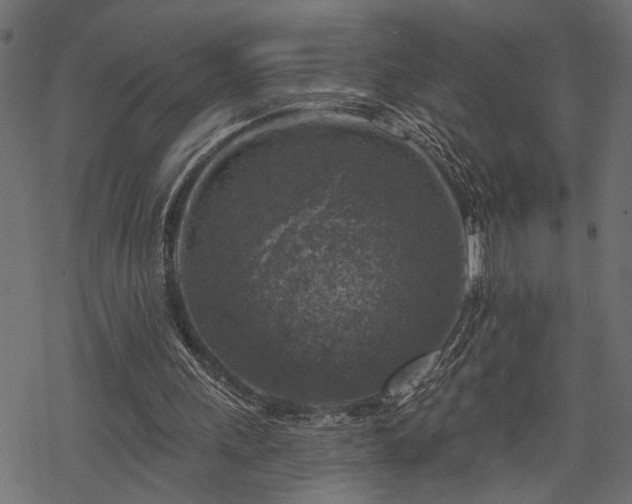 X0000068890243200605081327