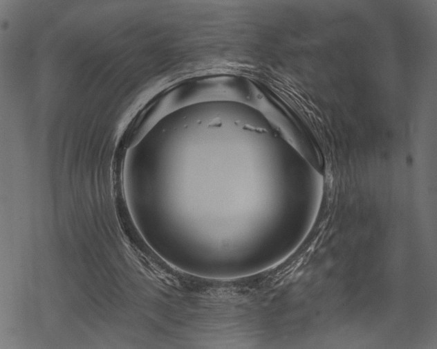 X0000068890244200605081327