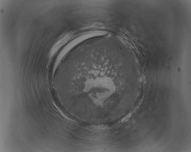 X0000068890245200605081327