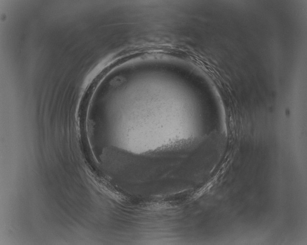 X0000068890246200605081327