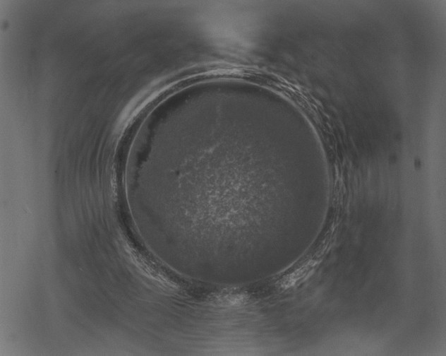 X0000068890247200605081327