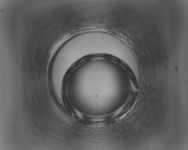 X0000068890248200605081327