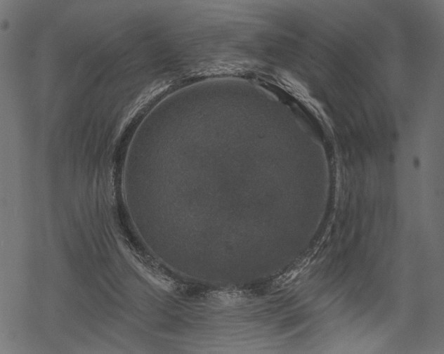 X0000068890250200605081327