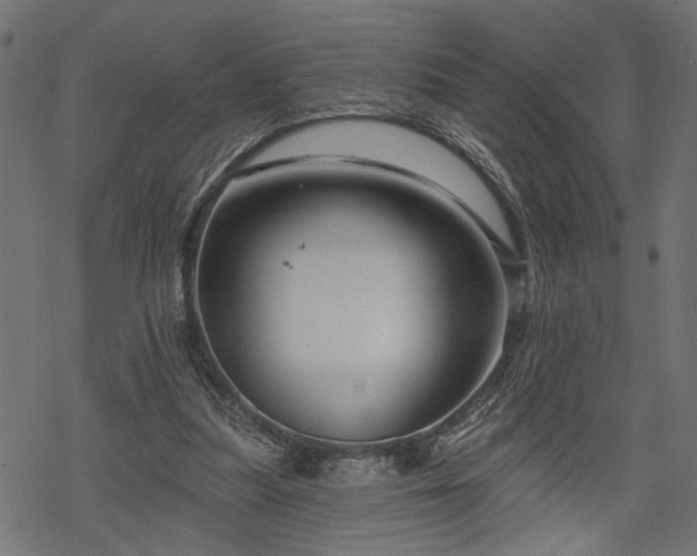 X0000068890251200605081327