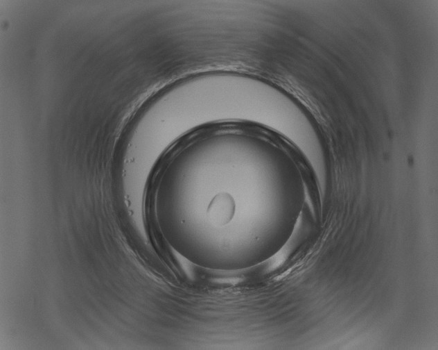 X0000068890252200605081327