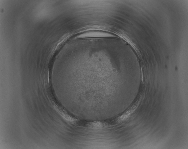 X0000068890253200605081327