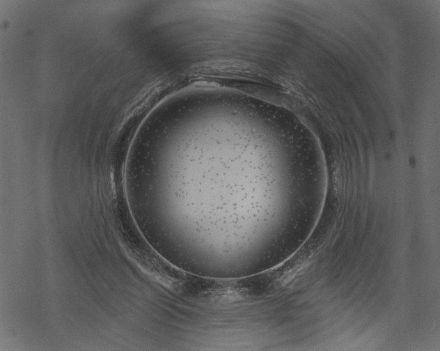 X0000068890254200605081327