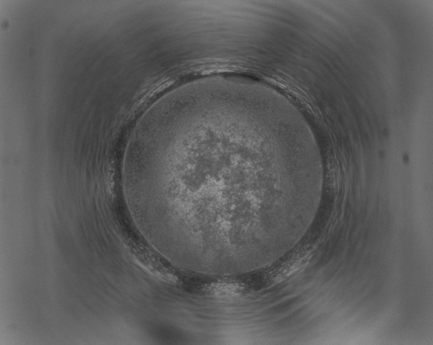 X0000068890255200605081327