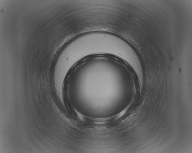 X0000068890256200605081327