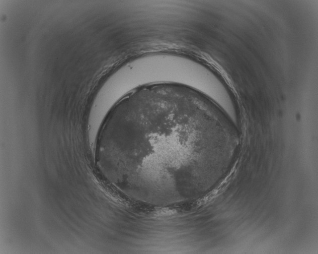 X0000068890257200605081327