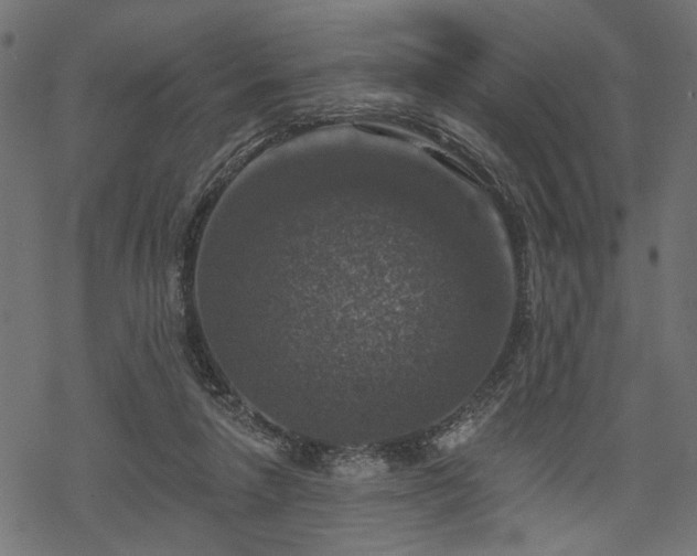 X0000068890258200605081327