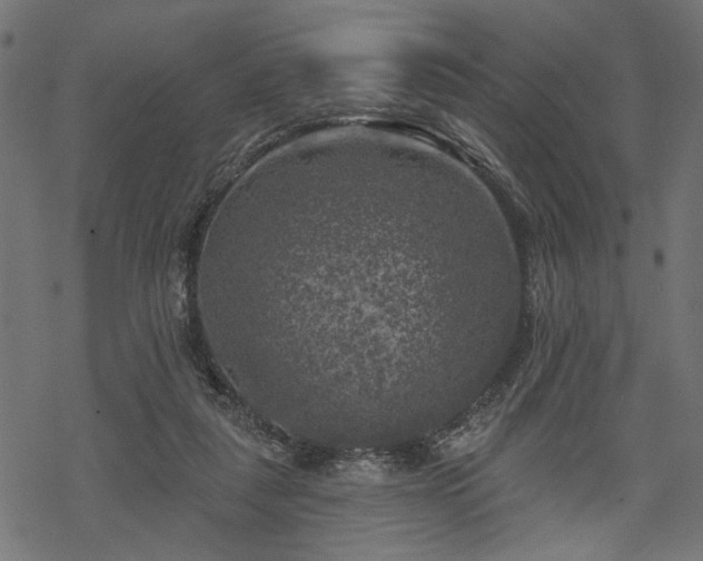 X0000068890259200605081327