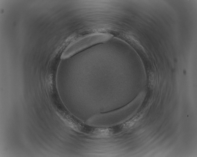 X0000068890260200605081327