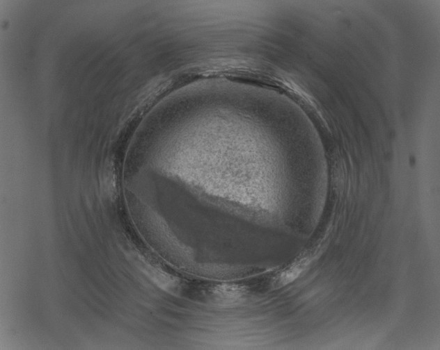 X0000068890261200605081327