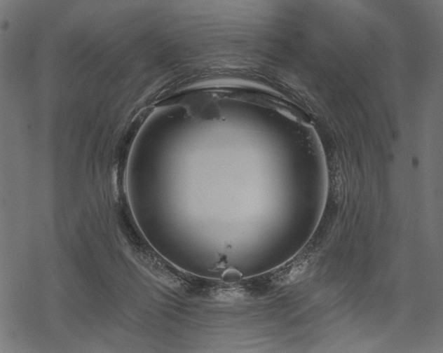 X0000068890262200605081327