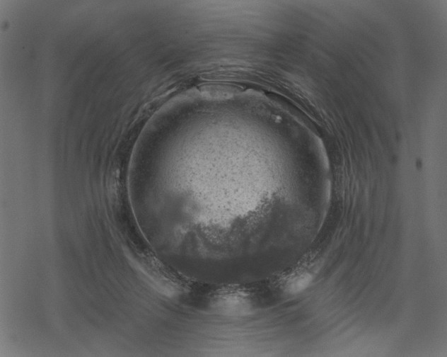 X0000068890263200605081327