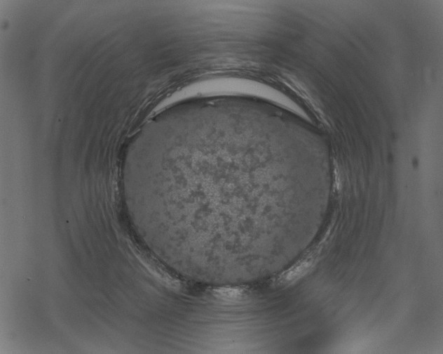 X0000068890265200605081327