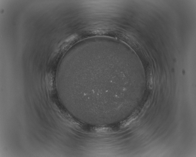 X0000068890268200605081327