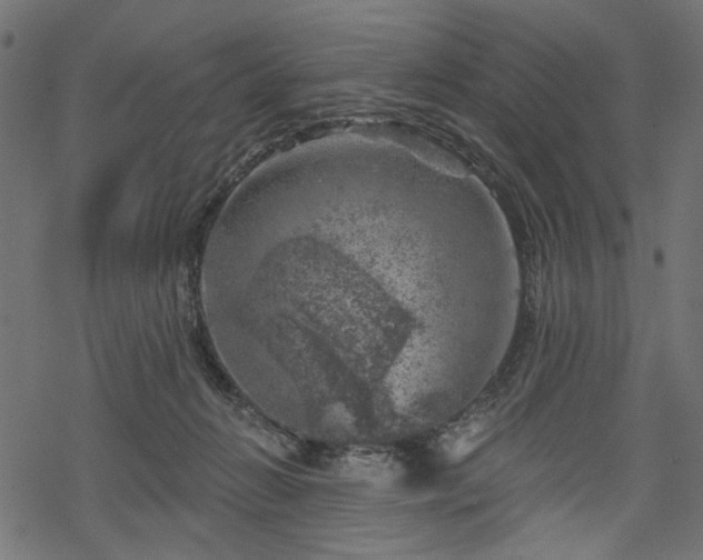 X0000068890270200605081327