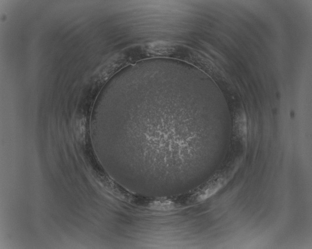 X0000068890271200605081327