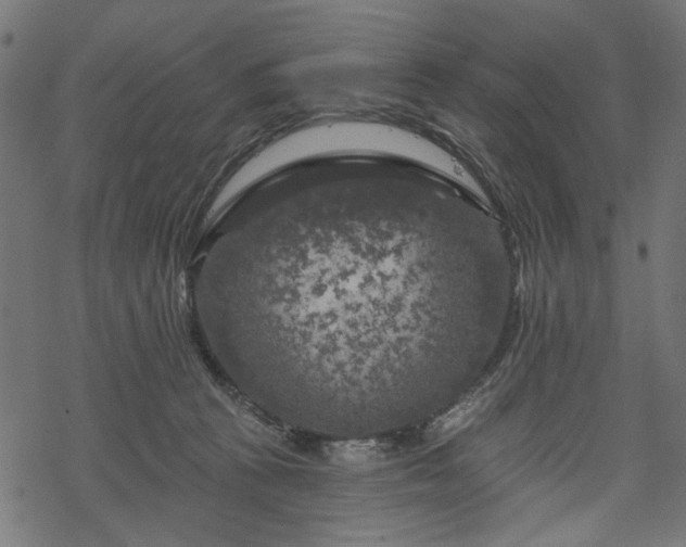 X0000068890273200605081327