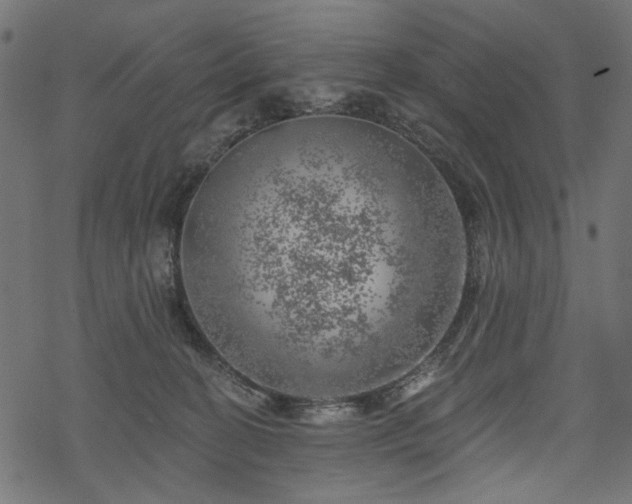 X0000068890274200605081327