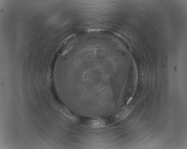 X0000068890275200605081327