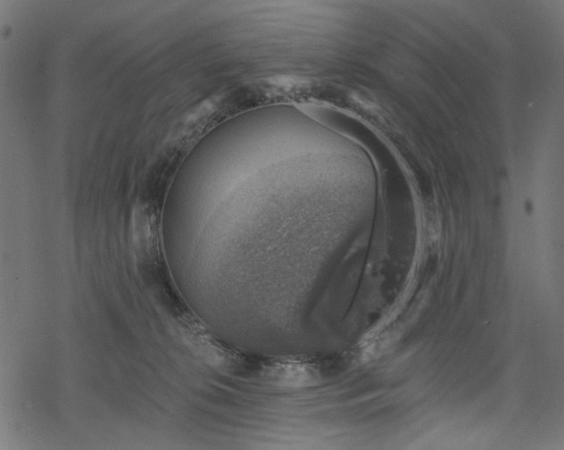 X0000068890276200605081327