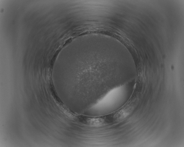 X0000068890277200605081327