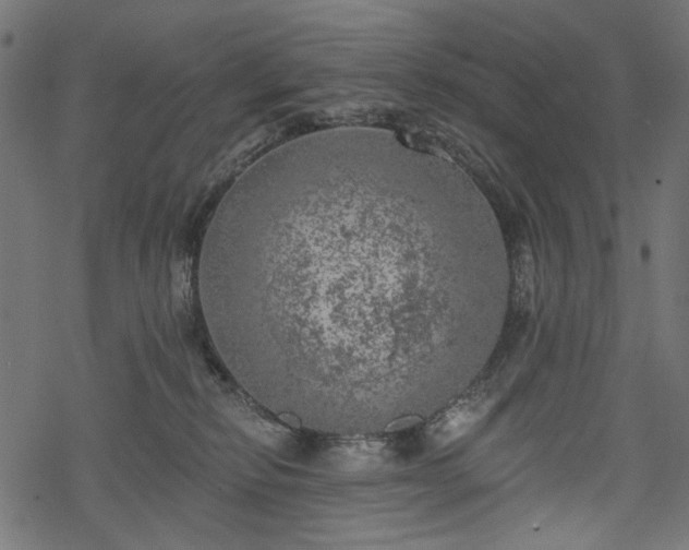 X0000068890278200605081327