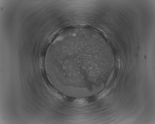 X0000068890280200605081327