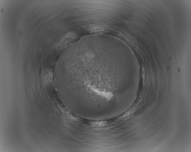 X0000068890281200605081327