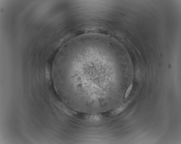 X0000068890282200605081327