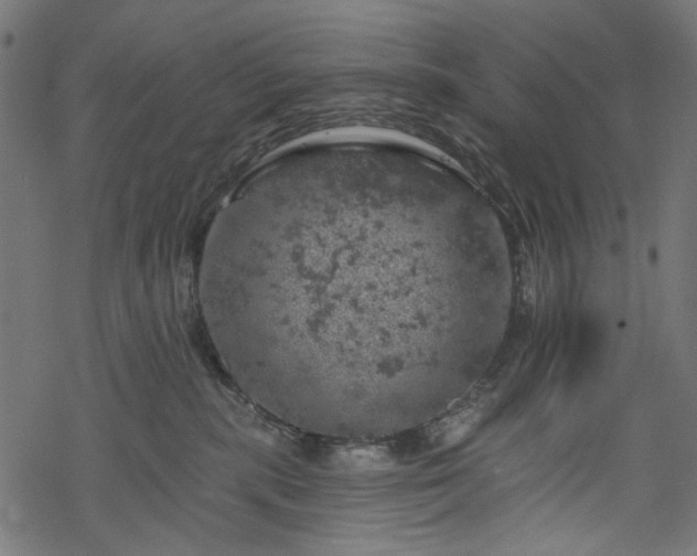 X0000068890283200605081327