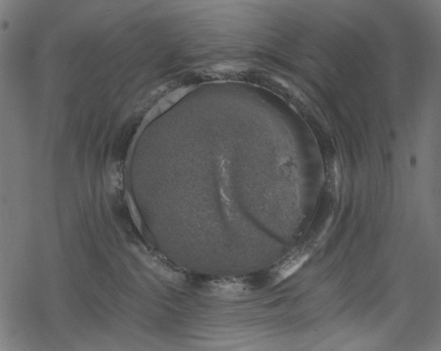 X0000068890284200605081327