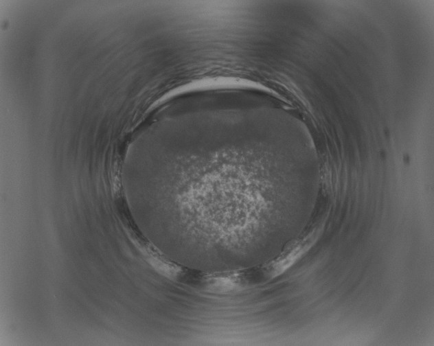 X0000068890285200605081327