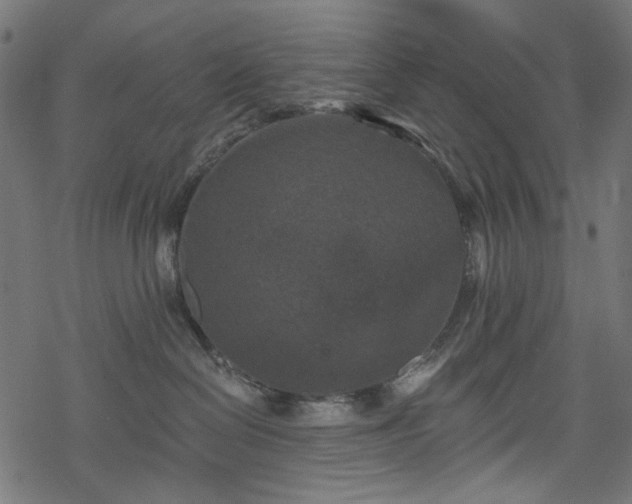 X0000068890286200605081327