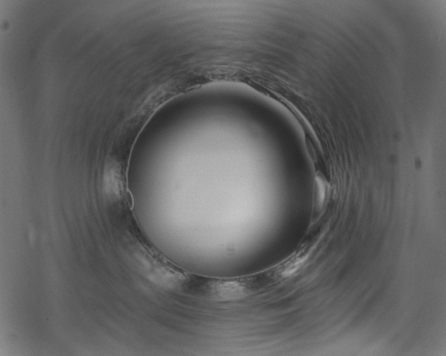 X0000068890287200605081327