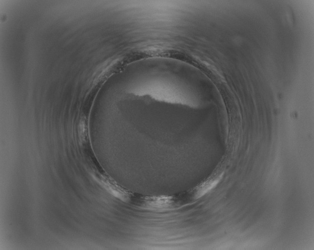 X0000068890288200605081327