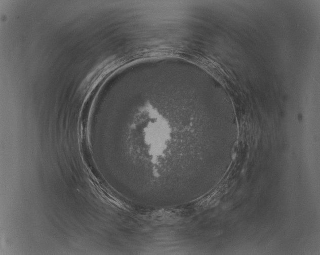 X0000068890290200605081327