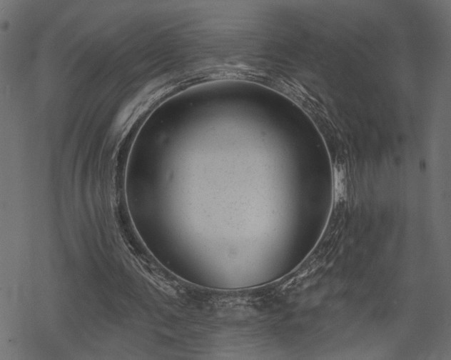 X0000068890291200605081327