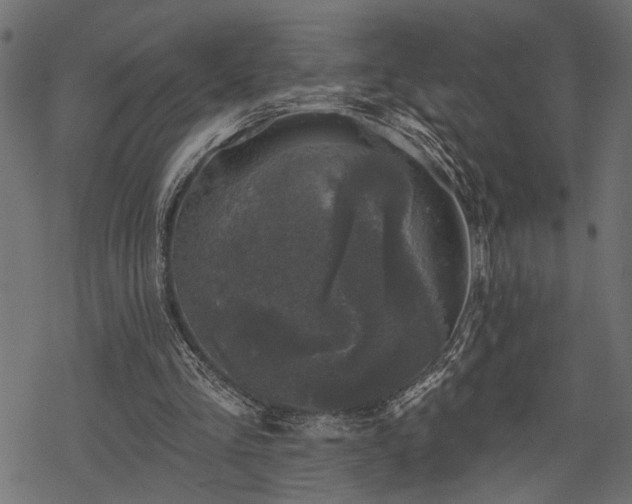 X0000068890293200605081327