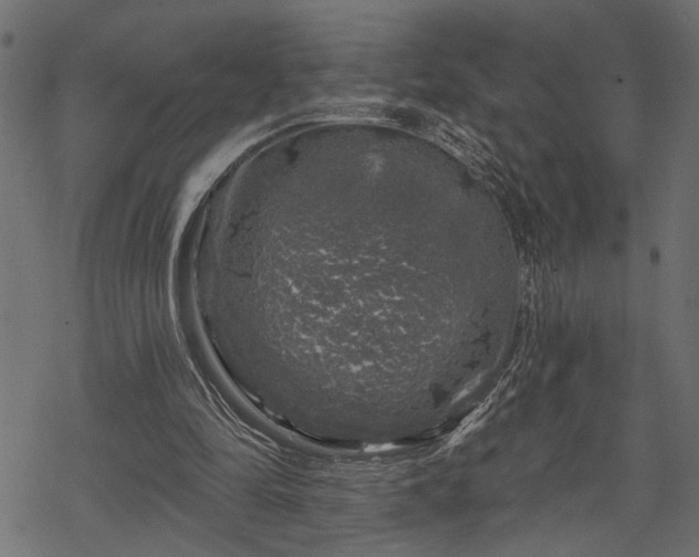 X0000068890294200605081327