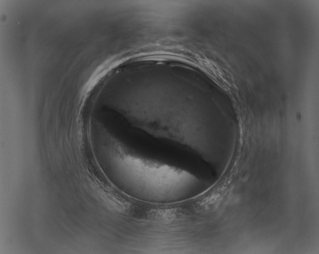 X0000068890295200605081327