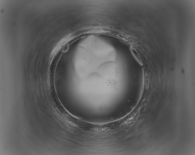 X0000068890296200605081327